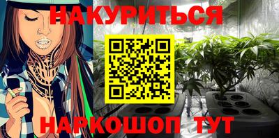 сатива Будённовск