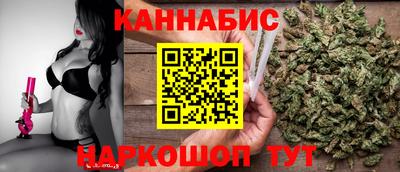 сатива Будённовск