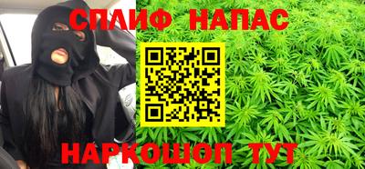 сатива Будённовск