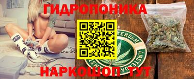 сатива Будённовск