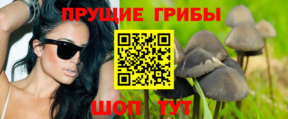 Псилоцибиновые грибы мицелий  Вход с VPN  Галлюциногенные грибы Magic Shrooms  Махачкала 